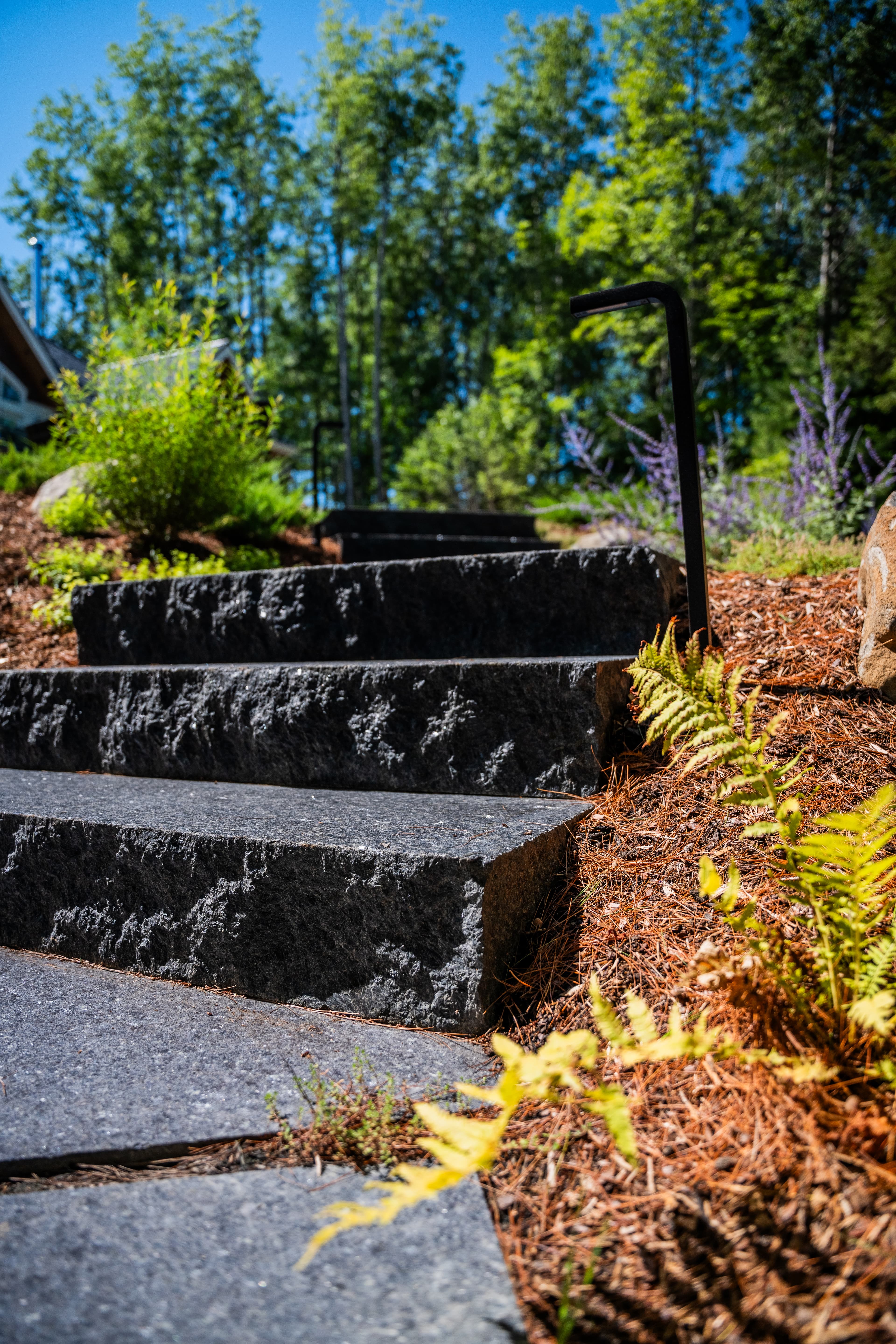 Matte Black project 6